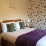 13055723_1731025377120142_6842419598634113590_o