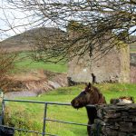 Minard Castle, Co Kerry