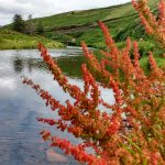 Bunaneer, Annascaul, Co Kerry